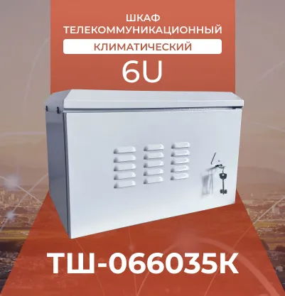 Шкаф телекоммуникационный ТШ-066035К
